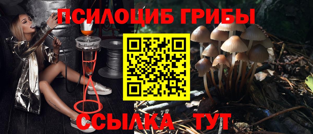 Галлюциногенные грибы ЛСД  Вход с VPN  Псилоцибиновые грибы Psilocybe  Евпатория 